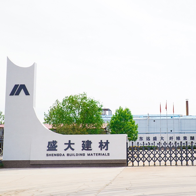 cellulose ether and redispersible polymer powder manufacturer
